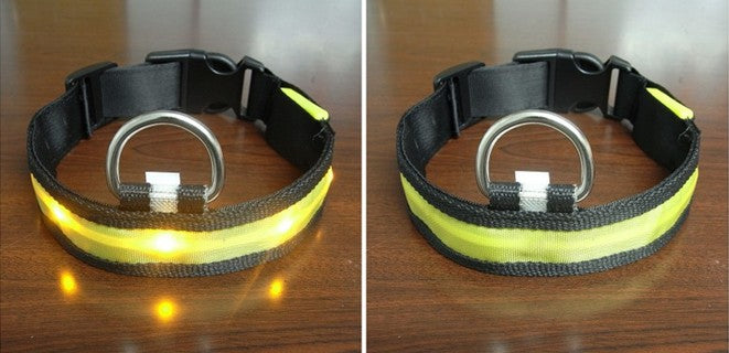 orbobi LED Safety Light — Clip-On Dog Visibility Light - Image 5