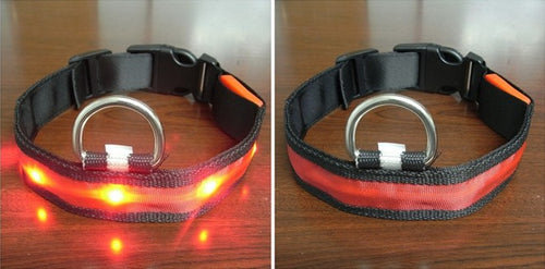 orbobi LED Safety Light — Clip-On Dog Visibility Light - Image 2