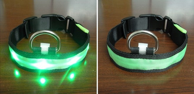 orbobi LED Safety Light — Clip-On Dog Visibility Light - Image 3