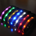 orbobi LED Safety Light — Clip-On Dog Visibility Light - Image 1