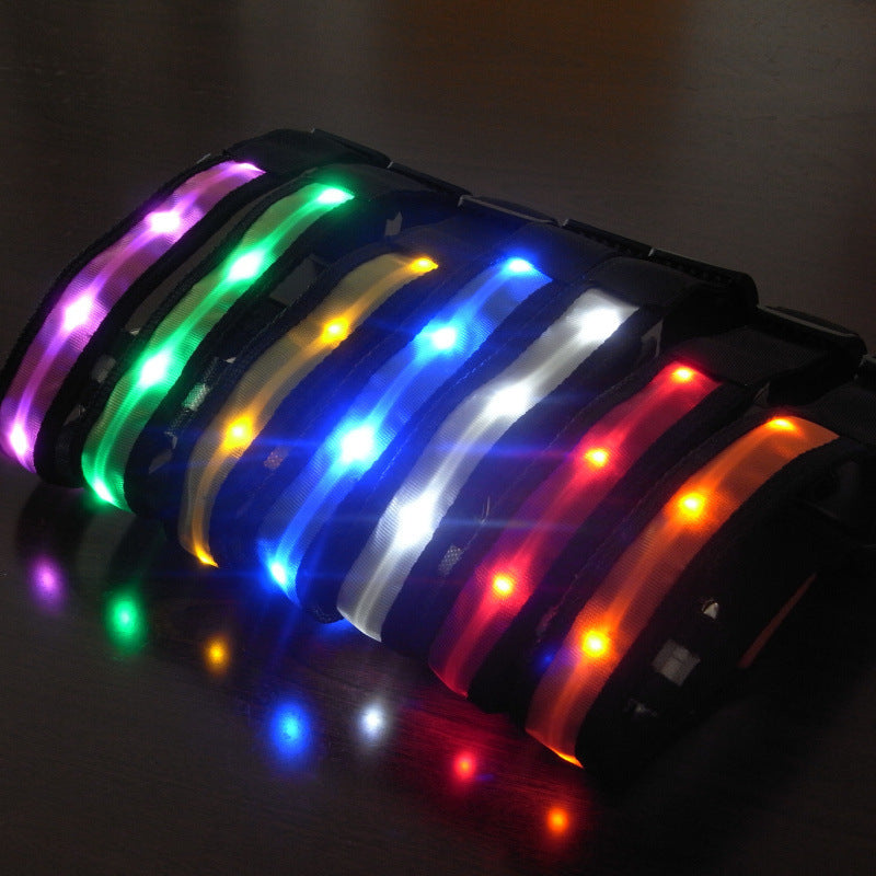orbobi LED Safety Light — Clip-On Dog Visibility Light - Image 1
