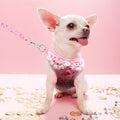 orbobi Small Dog Tactical Harness - Image 3